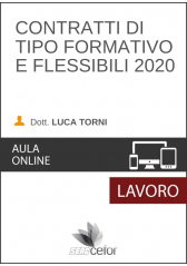 Contratti di tipo formativo e flessibili 2020 Contratti di tipo formativo e flessibili 2020