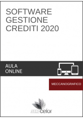 Software Gestione Crediti 2020 Software Gestione Crediti 2020