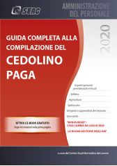 GUIDA COMPLETA ALLA COMPILAZIONE DEL CEDOLINO PAGA GUIDA COMPLETA ALLA COMPILAZIONE DEL CEDOLINO PAGA