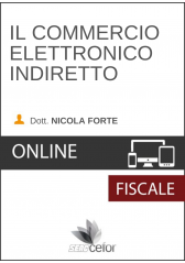 Il Commercio elettronico indiretto Il Commercio elettronico indiretto