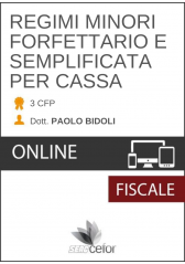 REGIMI MINORI FORFETARIO E SEMPLIFICATA PER CASSA REGIMI MINORI FORFETARIO E SEMPLIFICATA PER CASSA