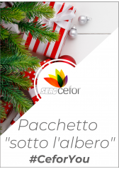 Pacchetto Sotto L'albero Pacchetto Sotto L'albero