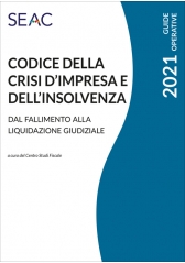Codice Della Crisi D’Impresa E Dell’Insolvenza