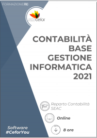 Software SEAC - Contabilità base - Gestione Informatica