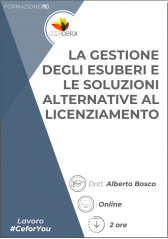 La Gestione Degli Esuberi E Le Soluzioni Alternative Al Licenziamento La Gestione Degli Esuberi E Le Soluzioni Alternative Al Licenziamento