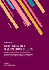 Guida Pratica Alla Revisione Legale Delle Pmi Guida Pratica Alla Revisione Legale Delle Pmi