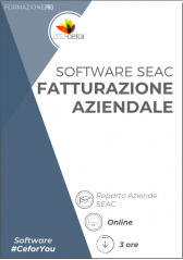 Software Seac - Fatturazione Aziendale Software Seac - Fatturazione Aziendale