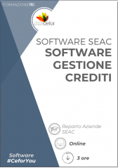 Software Seac - Gestione Crediti 2020 Software Seac - Gestione Crediti 2020
