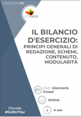 Il Bilancio D'esercizio: Principi Generali Di Redazione, Schemi, Contenuto, Modularità Il Bilancio D'esercizio: Principi Generali Di Redazione, Schemi, Contenuto, Modularità
