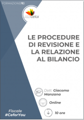 Le Procedure Di Revisione E La Relazione Al Bilancio Le Procedure Di Revisione E La Relazione Al Bilancio