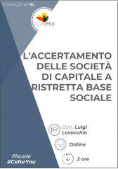 L'accertamento Delle Società Di Capitale A Ristretta Base Sociale L'accertamento Delle Società Di Capitale A Ristretta Base Sociale