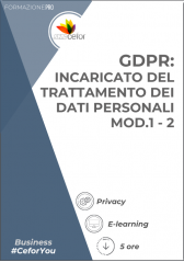 Gdpr: Incaricato Del Trattamento Dei Dati Personali - Mod.1 - 2 Gdpr: Incaricato Del Trattamento Dei Dati Personali - Mod.1 - 2