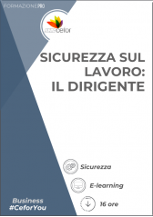 Sicurezza Sul Lavoro: Il Dirigente Sicurezza Sul Lavoro: Il Dirigente