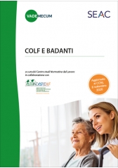 Vademecum - Colf E Badanti Vademecum - Colf E Badanti