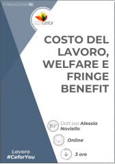 Costo Del Lavoro, Welfare E Fringe Benefit - Pack Costo Del Lavoro, Welfare E Fringe Benefit - Pack