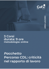 Criticità nel rapporto di lavoro Criticità nel rapporto di lavoro
