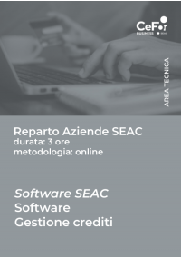 Software SEAC - Gestione Crediti