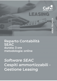 Software SEAC - Cespiti Ammortizzabili / Gestione Leasing