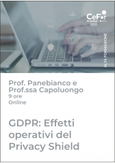 Gdpr: Effetti Operativi Del Privacy Shield, Alla Luce Della Sentenza Della Corte Di Giustizia Europea E Della Brexit Gdpr: Effetti Operativi Del Privacy Shield, Alla Luce Della Sentenza Della Corte Di Giustizia Europea E Della Brexit